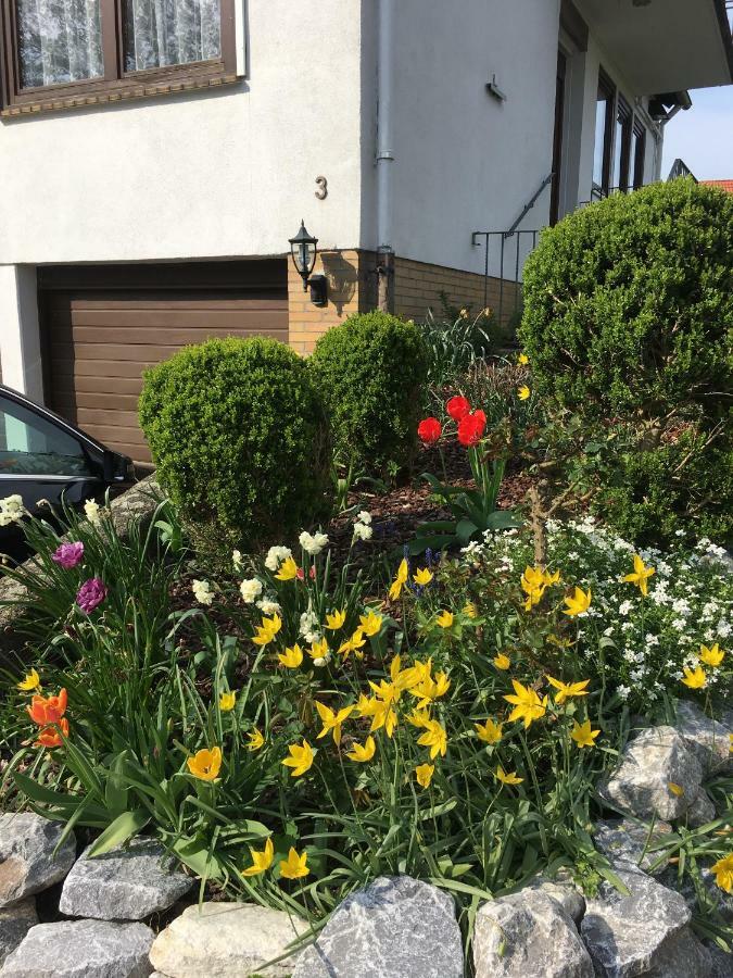 Ferienwohnung Dettum Екстер'єр фото